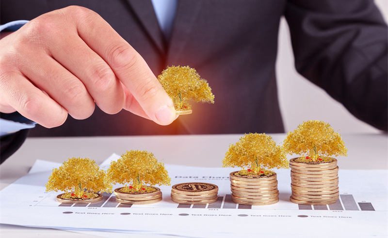 業(yè)績管理與績效評估、薪酬管理和職業(yè)發(fā)展之間的關系