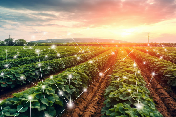 「咨詢公司」供應(yīng)鏈管理的目的和意義是什么？