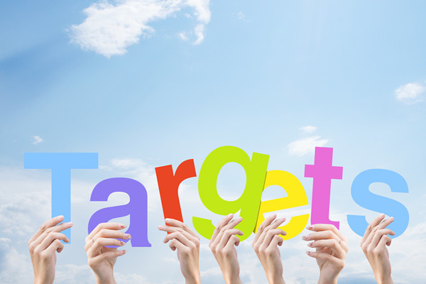 構(gòu)建科學績效管理體系，提升組織整體績效水平