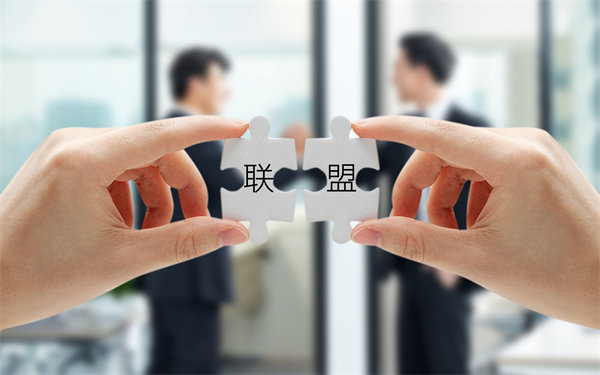 戰(zhàn)略聯(lián)盟與合作：強(qiáng)強(qiáng)聯(lián)手，共創(chuàng)未來