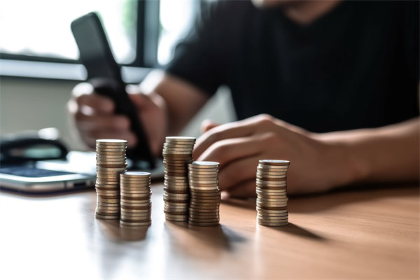 環(huán)境快速變化，如何確保預算執(zhí)行的靈活性和適應性？