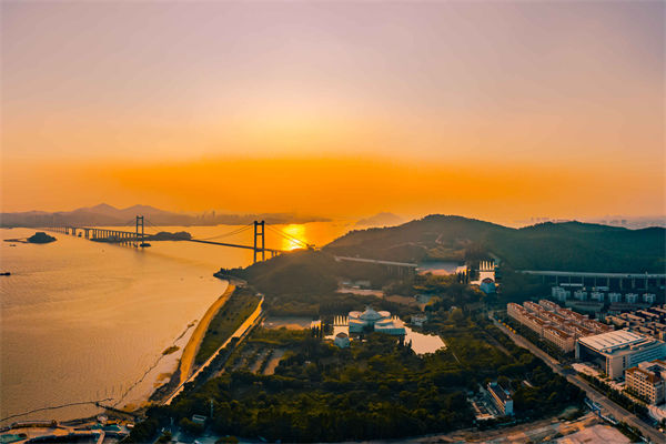 東莞供應(yīng)鏈咨詢公司如何優(yōu)化企業(yè)供應(yīng)鏈流程？