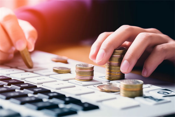 預(yù)算分析過(guò)程中，如何識(shí)別并糾正數(shù)據(jù)偏差，確保準(zhǔn)確性？