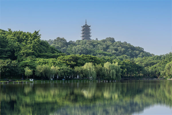 如何評(píng)估佛山集團(tuán)管控咨詢公司的服務(wù)質(zhì)量和效果？