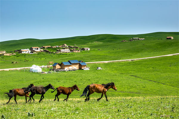 飛新疆的機票價格漲爆了，什么情況？是營銷炒作？
