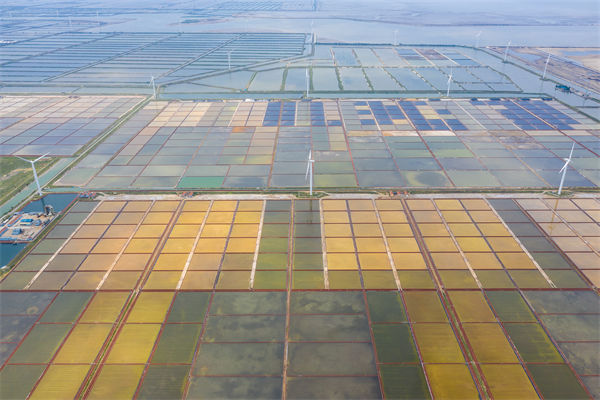 濰坊集團(tuán)子公司失控內(nèi)耗嚴(yán)重，濰坊集團(tuán)管控咨詢公司如何重構(gòu)權(quán)責(zé)體系？