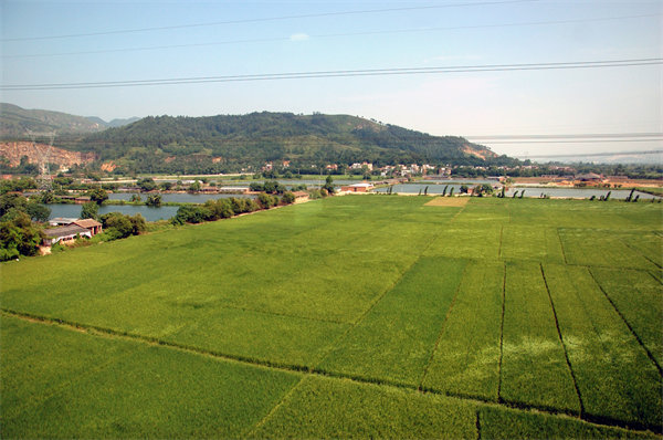 清遠(yuǎn)人力資源咨詢公司量體裁衣，如何激活企業(yè)人才發(fā)展新動(dòng)能？