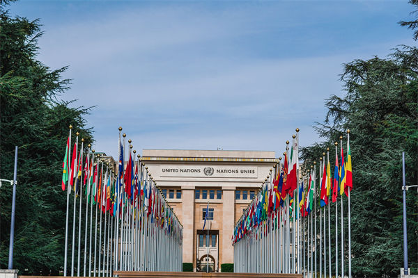 英法等25國發(fā)表聯(lián)合聲明，企業(yè)組織規(guī)劃有何啟示？