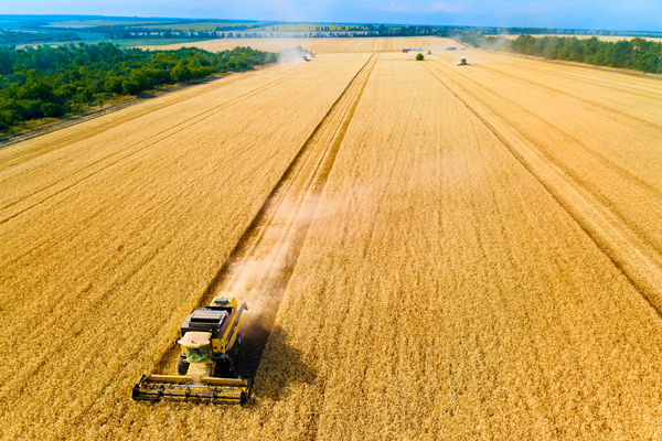 農(nóng)業(yè)行業(yè)供應(yīng)鏈管理咨詢公司推薦，能解農(nóng)資采購成本高問題嗎？