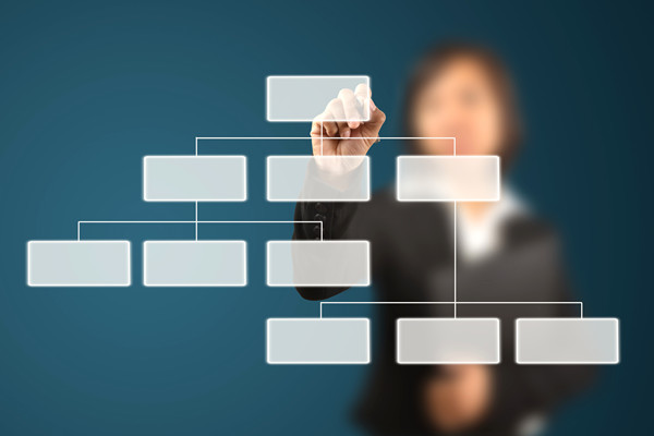 哪家組織規(guī)劃咨詢公司落地最好，能搭建適配發(fā)展的組織體系？